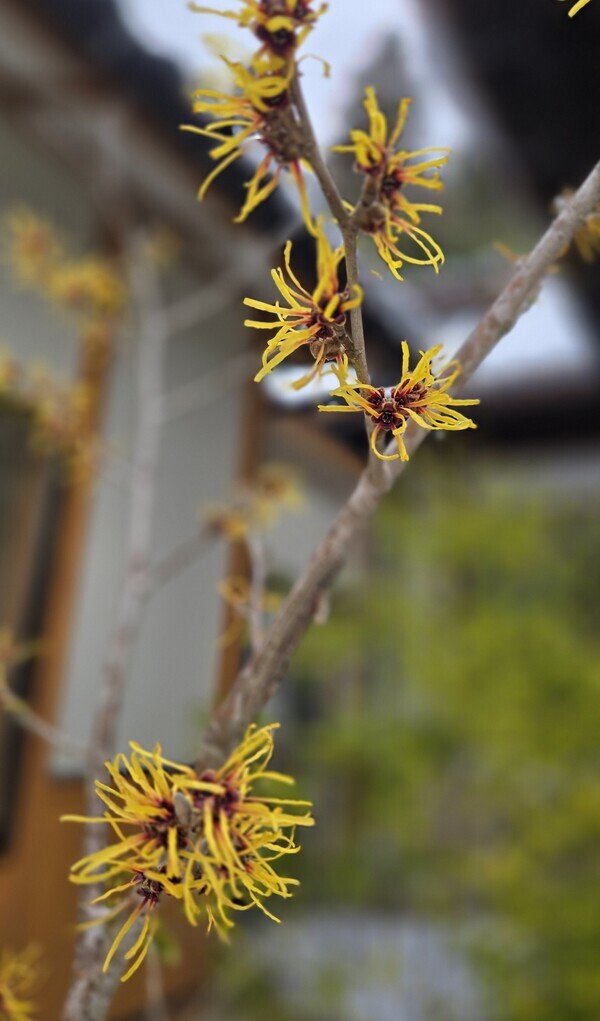 20250225_084332_コピー