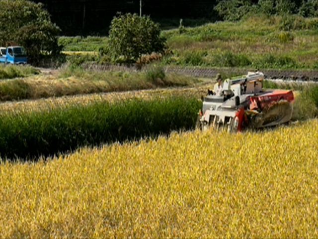 スクリーンショット 2025-10-30 125908_R